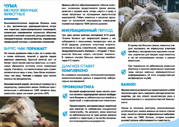 ВАЖНАЯ ИНФОРМАЦИЯ!
