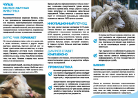 ВАЖНАЯ ИНФОРМАЦИЯ!