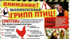 Осторожно! Птичий грипп!