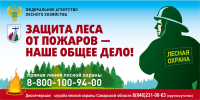 В случае обнаружения возгорания в лесу!