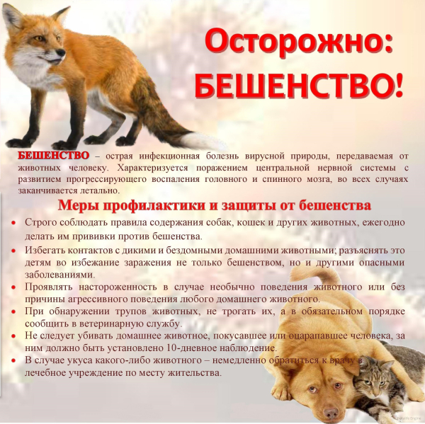 ОСТОРОЖНО: БЕШЕНСТВО!