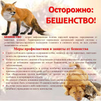 ОСТОРОЖНО: БЕШЕНСТВО!