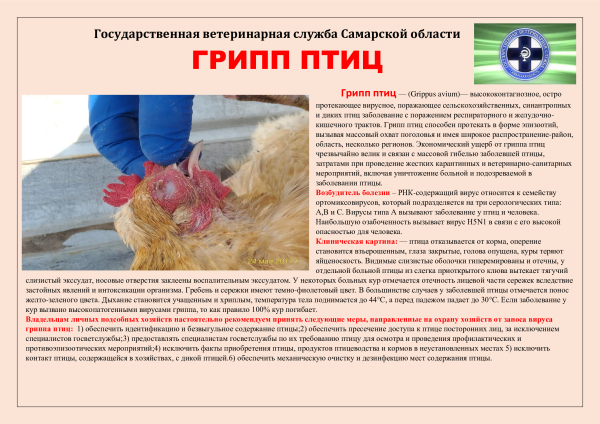 ГРИПП ПТИЦ!